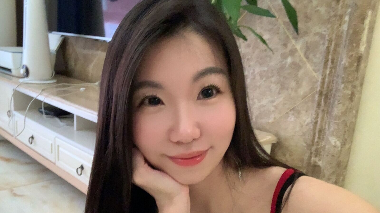 xinzhangguo
